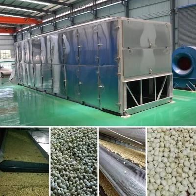 Customized Mesh Belt Vegetable Drying Machine