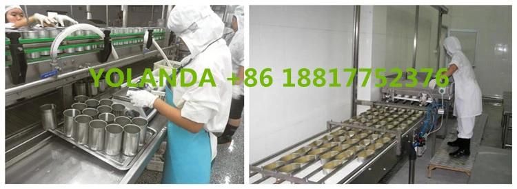 Top Quality Canned Fish in Oil Production Line
