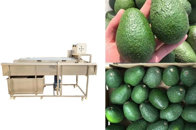 Fruits Food Cleaning Brush Washing Machine Continuous Avocado Washer