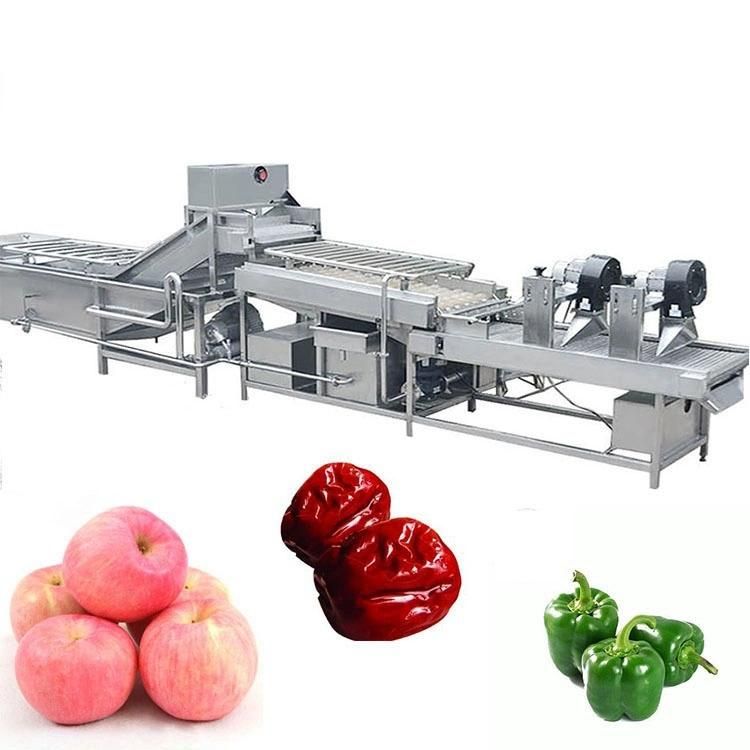Good Quality Wholesale Dehydrated Vegetable Processing Dried Fruit Production Line Machinery