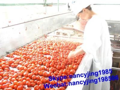 Tomato Paste Processing Complete Machinery