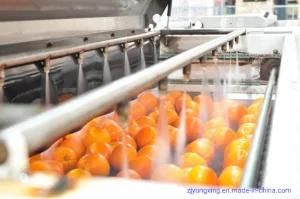 Ce Approved Industrial Stainless Steel Fruit and Vegetable Processing Line/Production of ...