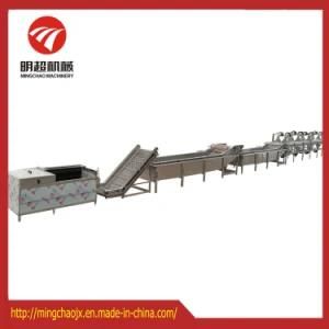 Automatic Root Vegetable Washing Drying Processing Line