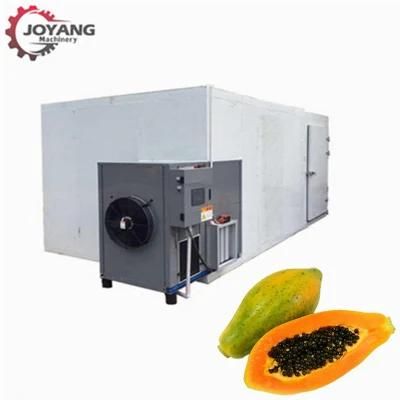 Hot Air Dryer Carica Papaya Drying Fruit Dehydration Machine