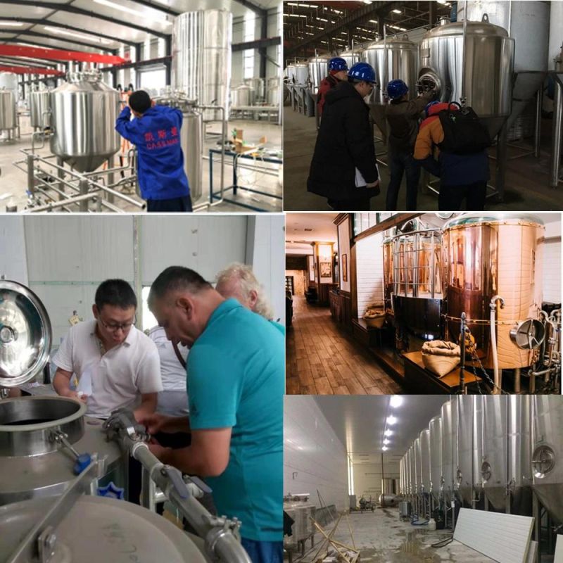 Cassman Customized 304 Stainless Steel Brewery System Fermentation Equipment Beer Making Line