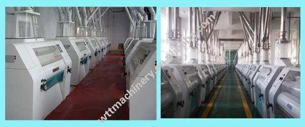 Complete Set Flour Mill Equipment/Production Line for Wheat and Corn Maize