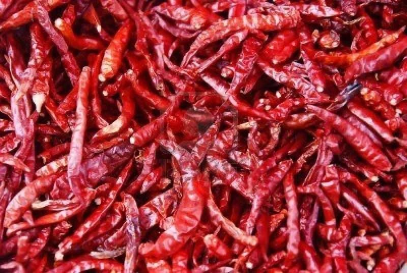 Automatic Vegetable Dryer Machine Commercial Pepper Drying Machine