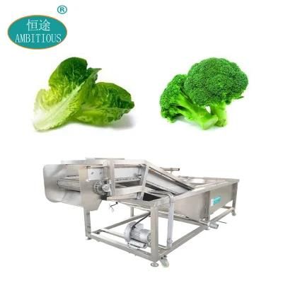Water Spray Vegetables Lettuce Broccoli Leek Vegetable Bubble Washing Machine