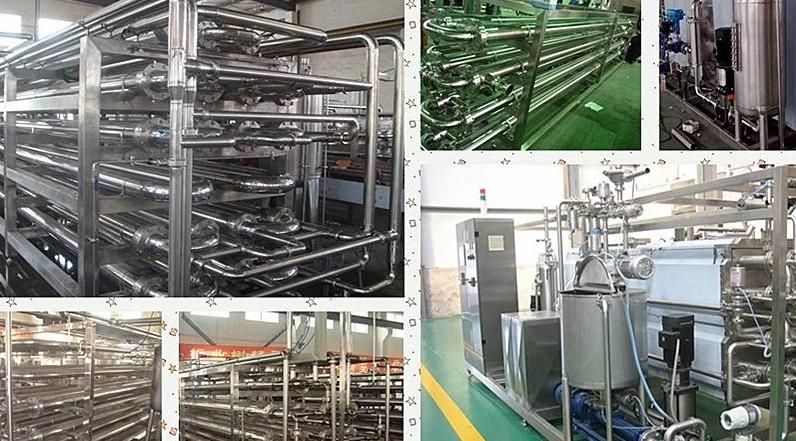 Fruit Paste Tube in Tube Type Sterilizer Pasteurizer