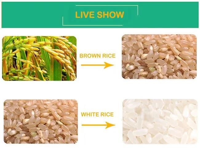 Combine Mini Rice Milling Miller Processing Machine Plant Project Grain Wheat