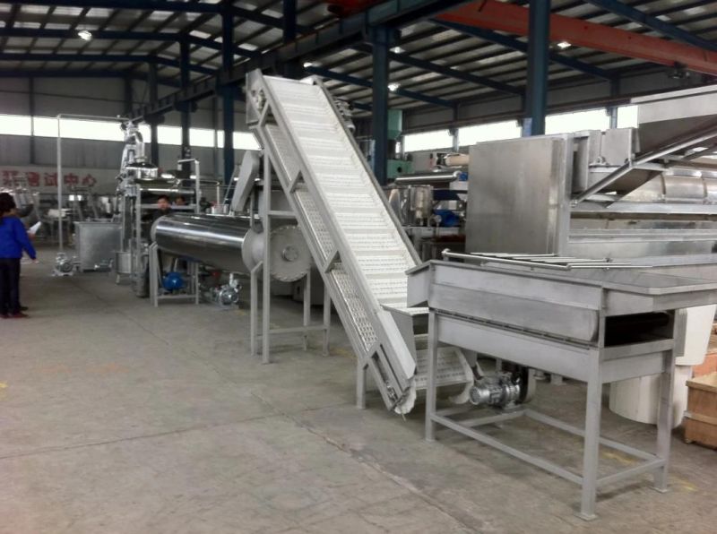 Small Capacity Mango Paste Processing Plant