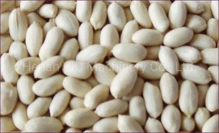 Automatic stainless steel Peanut Sheller