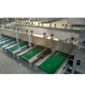 Automatic Gravity Sorter Apple Grading Fruit Sorting Machine