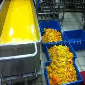 Mango and Ppineapple Production Line