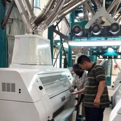European Quality Maize Wheat Corn Flour Meal Grits Mill Milling Making Machine