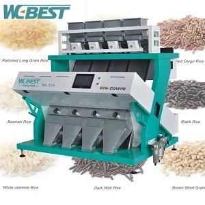 Small Outstanding Efficiency Buckwheat Color Sorter, Wheat Color Sorting Machine