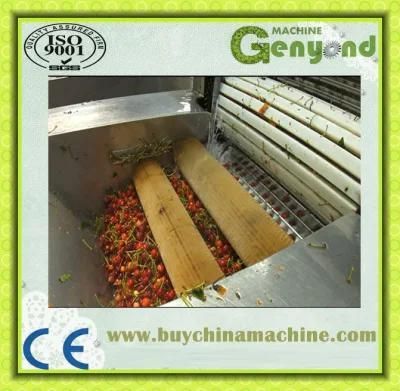 Cherry Stem Removing Machine, Cherry/Fruit Processing Machine