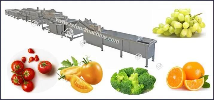 Noni Fruit Vegetable and Fruit Processing Machine