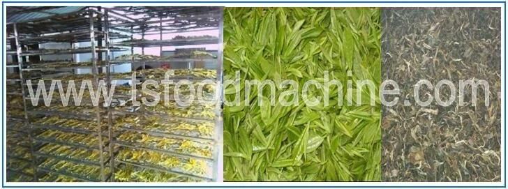 Conveyor 5 Layers Dryer Line and Tea Drying Machine