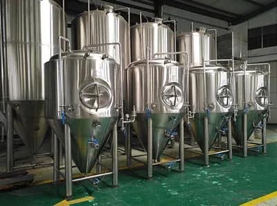 Cassman 500L Stainless Steel Micro Beer Brewing Brewery Equipment for Restaurant