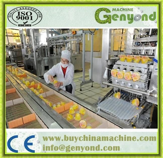 Complete Fruit Jelly Production Line