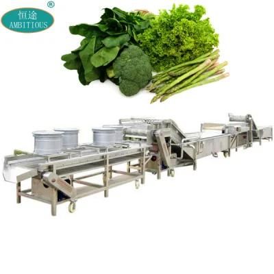 Vegetable Processing Leafy Green Vegetables Bubble Washing Machine with Dryer