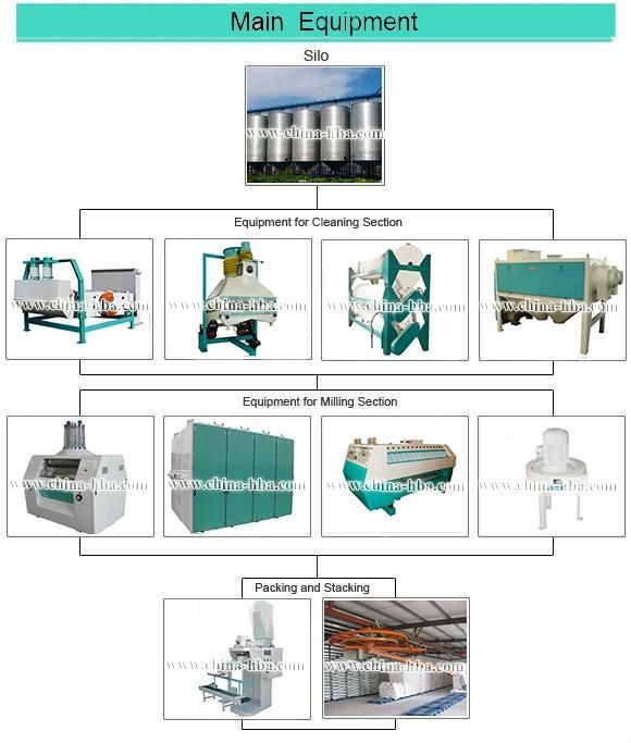 European Standard Turkey Project Complete Set of Flour Mill