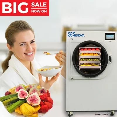 Small Mini Home Household Food Fruit Vacuum Dry Freezer Freeze Dryer Price