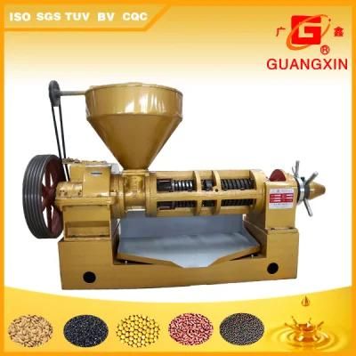 Automatic Sesame Oil Press