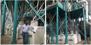 Wheat Flour Mill Machine for Semolina Flour and Animal Feed