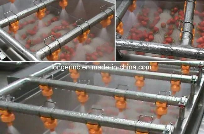 Automatic Chestnut Machine Strawberry Washing Machine
