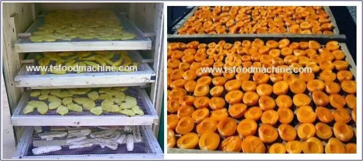 Food Drying Machine and Fruit Dryer