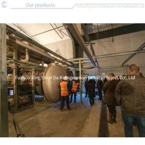 100m&sup2; Beef /Herb Drying Machine Freeze Dryer