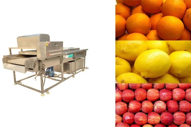 Fruits Cleaning Washer Big Tank Rush Roller Apple Orange Washing Machine