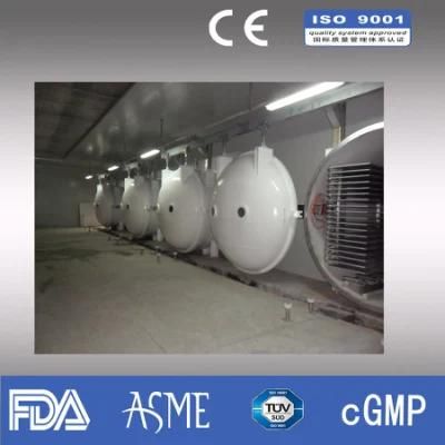 Vacuum Dryer for Drying Fruit Vegetables