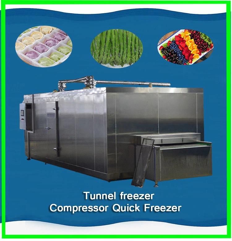 Individual Quick Freezing Machine IQF/Meat Quick Freezing Machine