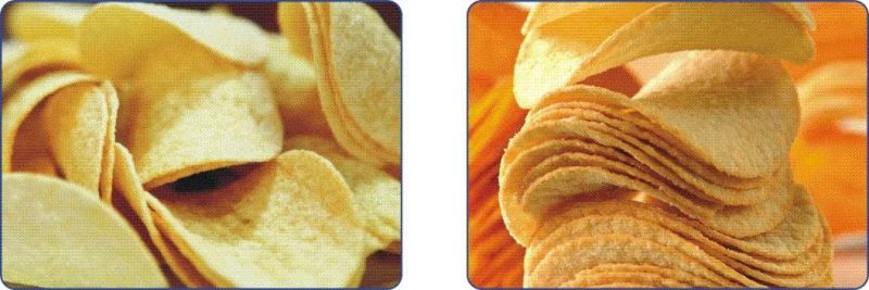 Fabricated Potato Chip Processing Line