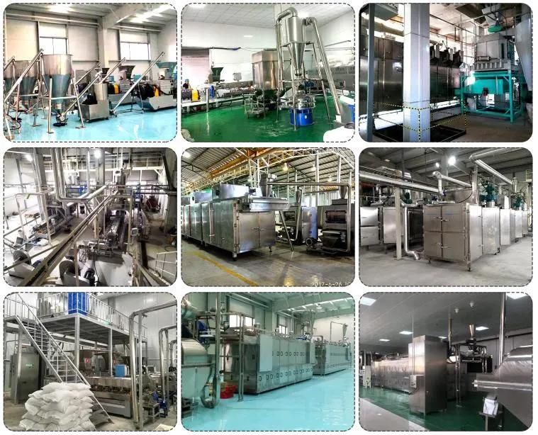 Fully Automatic Dog Snacks Making Machine Hot Sale Pet Food Production Line