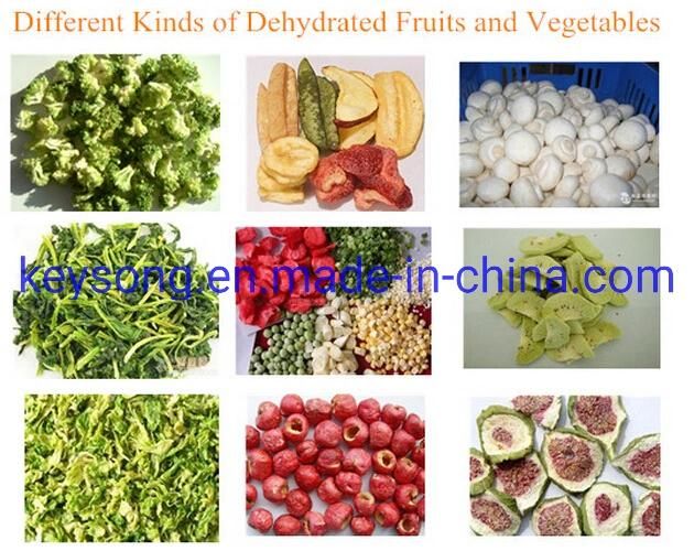 Tunnel Mesh Belt Ginger Chilli Vegetable Fruit Food Dryer