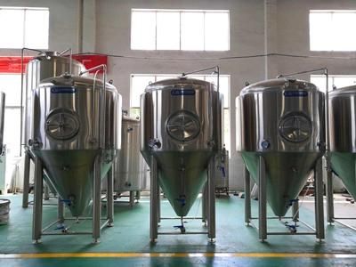 Cassman 300L 500L 1000L 2000L Stainles Steel Beer Fermentation Tank for Biere Brasserie
