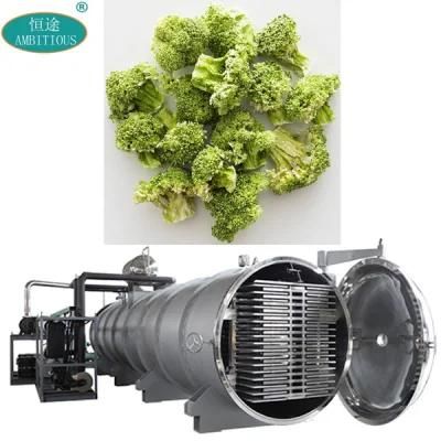 Freeze Dry Vegetables Freezing Drying Machine Vegetable Vacuum Freeze Dryer