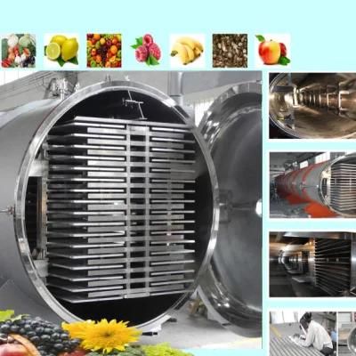 Fd-Fp Series Vacuum Freeze Dryer (Lyophilizer) for Food Processing
