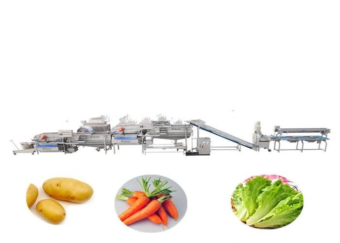 Microwave Continuous Vegetable Fruit Dryer Machine