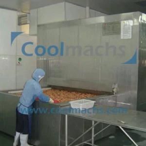 Hot Sale Seafood Shrimp IQF Tunnel Freezer/Industrial IQF Blast Quick Freezer