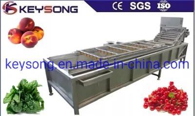 Industrial Food Processing Equipment Vegetable Cleaning Washer Machinery