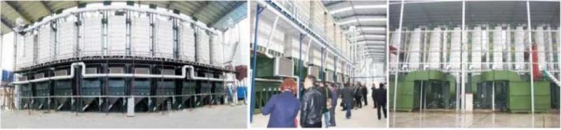 Low Temperature Circular Paddy Deyer Machine (Basimati super white IRR6 Parboil rice)