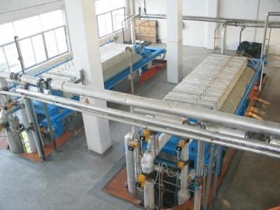 10-2000tpd Palm Fruit Oil Pressing Equipment