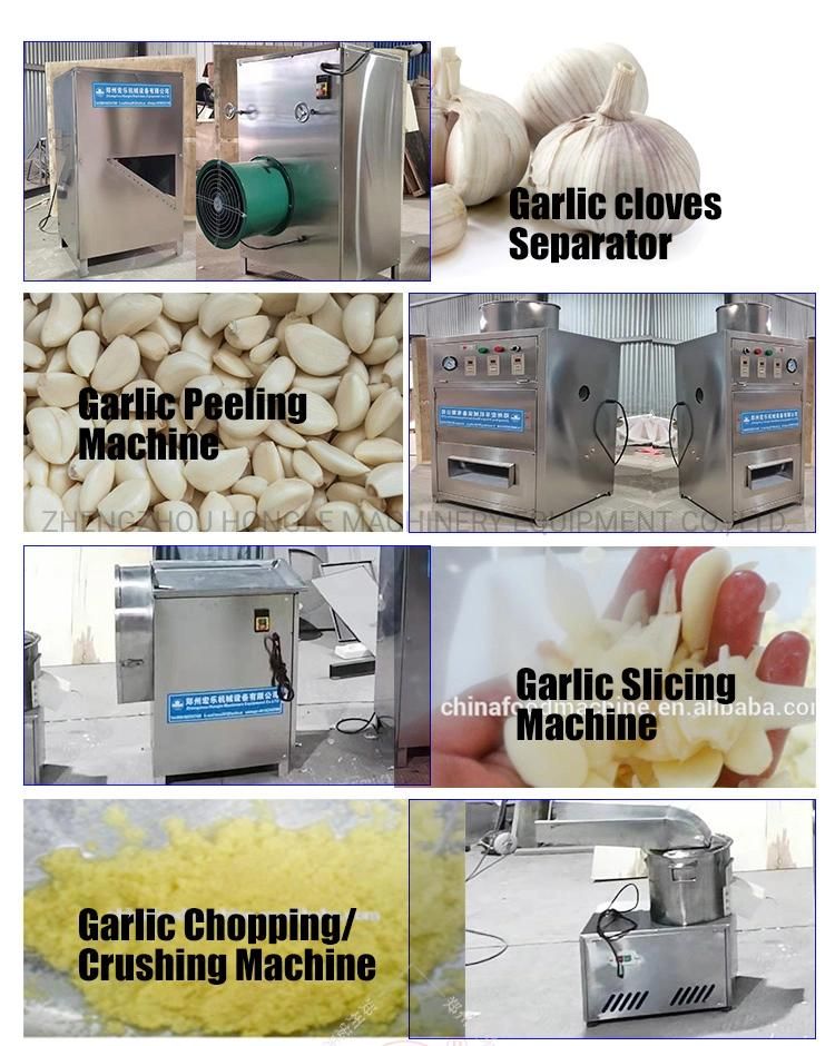 Automatic Garlic Clove separator Seperating Breaking Flapping Peeling Peeler Machine