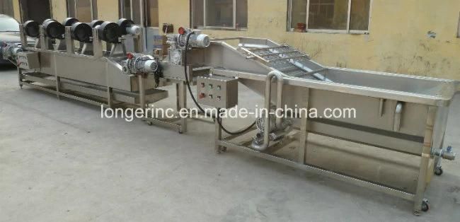 Factory Price Fruit Washing Machine for Sale