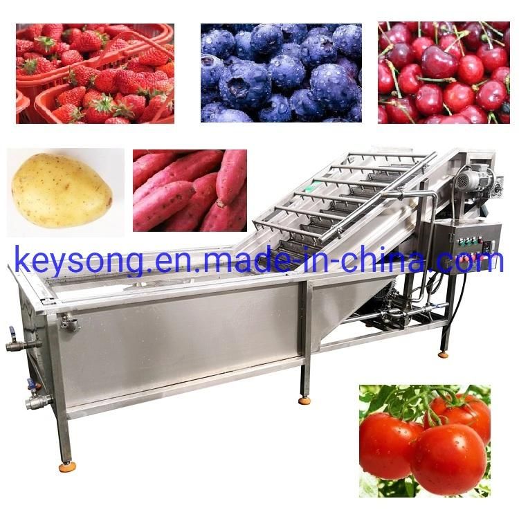 Automatic Mushroom Lettuce Ginger Onion Fruits Vegetables Washing Machine